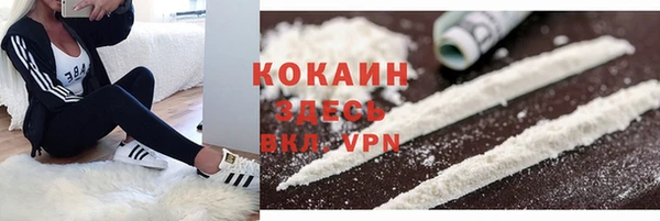 кокс Алексин