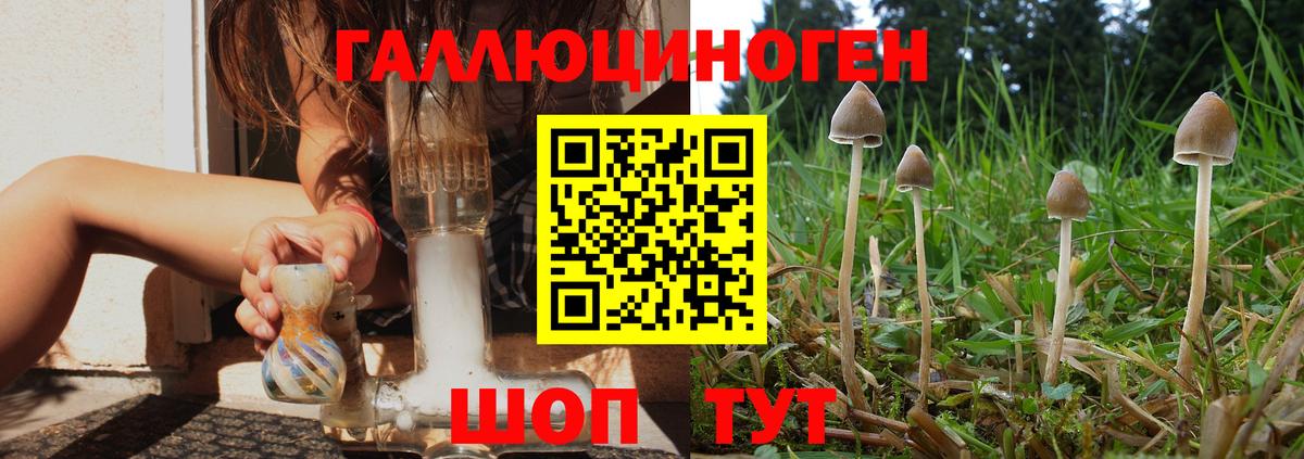 где купить наркотик  Галлюциногенные грибы мухоморы  Вход с VPN  Гуково 