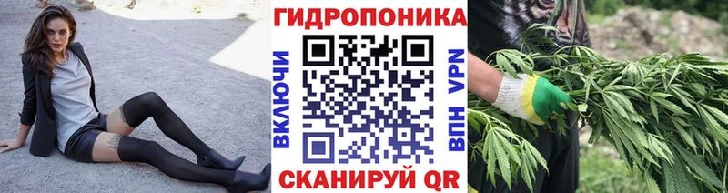 Шишки марихуана ГИДРОПОН  наркошоп  Гуково 